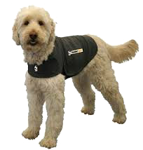 /Problemloesning/ThunderShirt.png /Problemloesning/ThunderShirt.png